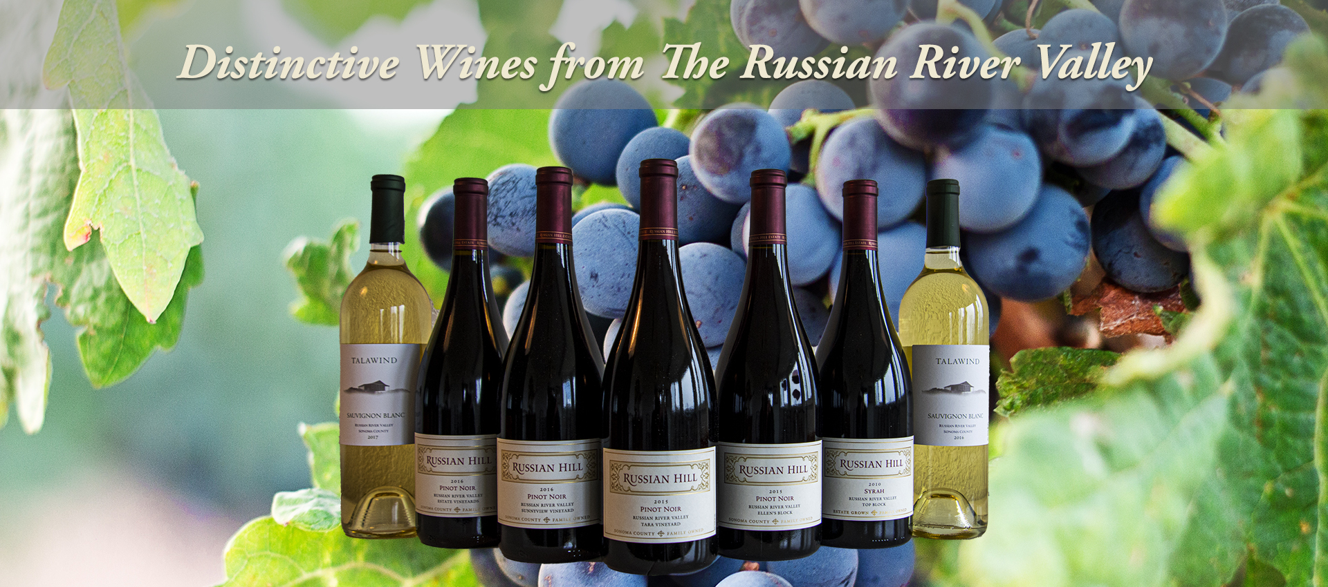 Russian Hill Winery